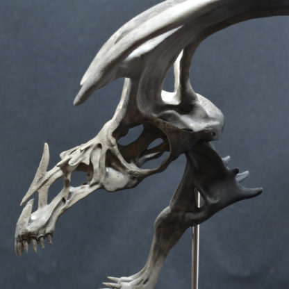 Glider, crâne de dragon