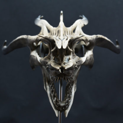 Goblin, crâne de dragon