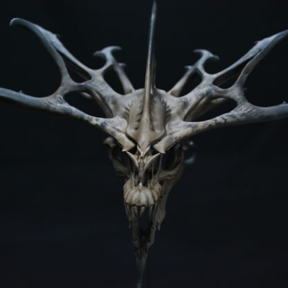 Rorschach, crâne de dragon