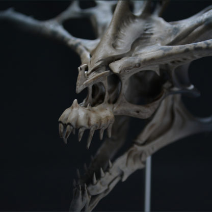 Rorschach, crâne de dragon