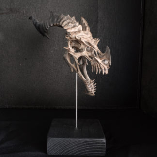 Cirrus, crâne de dragon