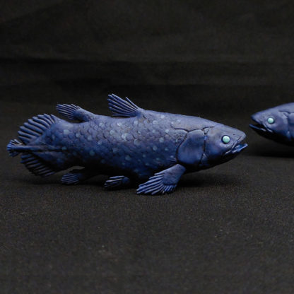 Coelacanthe