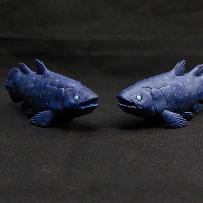 Coelacanthe